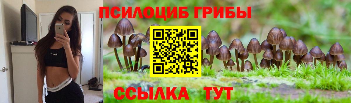 Псилоцибиновые грибы Cubensis  Вход с VPN  Луховицы 
