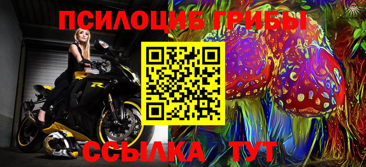 Галлюциногенные грибы Cubensis Луховицы