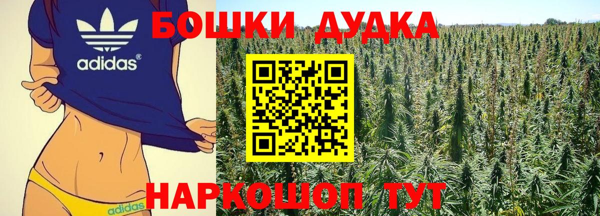 Конопля сатива Луховицы